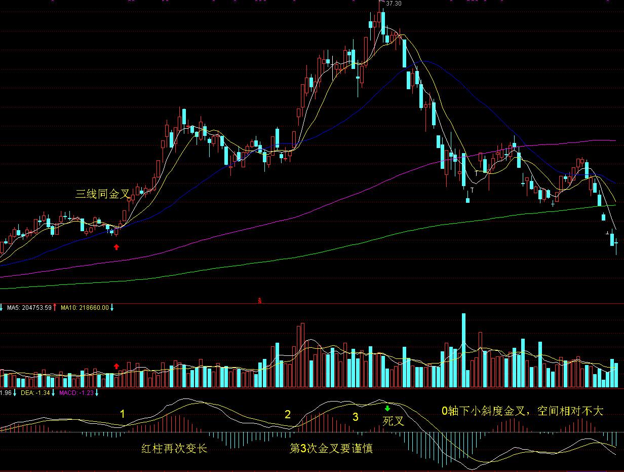 港南区“三月三”活动精彩纷呈